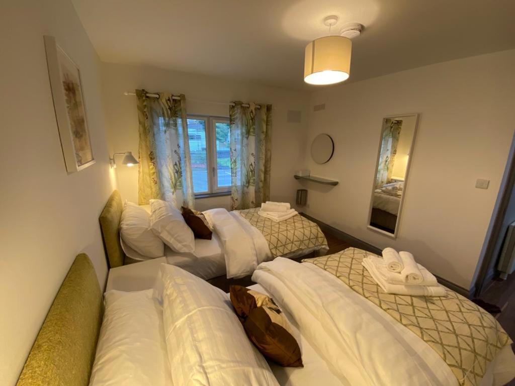 Location Location - Gorgeous 3 Bed Apartment In 킬라니 외부 사진